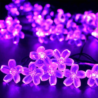 Solar-Powered String Lights (Blossom Flower)