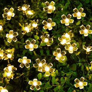 Solar-Powered String Lights (Blossom Flower)