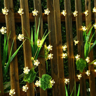 Solar-Powered String Lights (Blossom Flower)