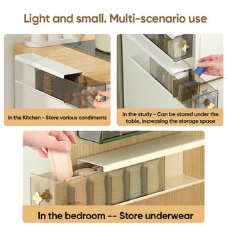 SAKER® Underwear Storage Drawer Organizer