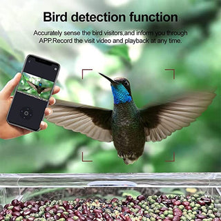 SAKER® Smart Bird Feeder with Camera