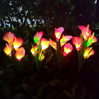 Multi-Color LED Solar Arum-lily Garden Lights