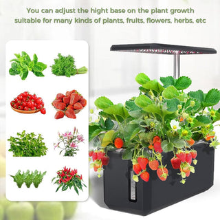 SAKER® Hydroponic Growing System