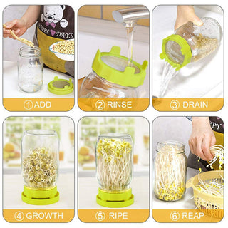 Saker Sprouting Jar Kit