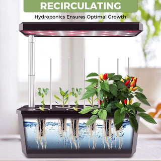 SAKER® Hydroponic Growing System