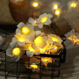 Plumeria Flower Fairy Light