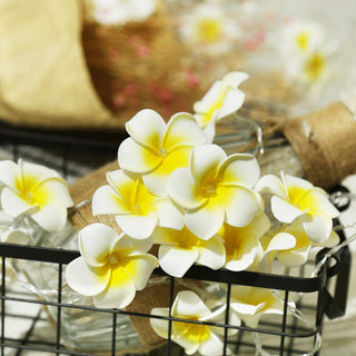 Plumeria Flower Fairy Light