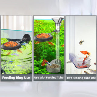 SAKER® Shrimp Feeding Dish Set