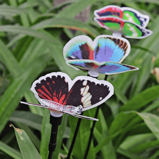 Butterfly Multi-color Changing Decor Lights