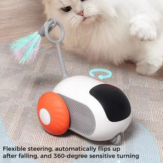 SAKER® Smart Pet Sports Car Toy