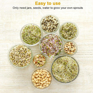 Saker Sprouting Jar Kit