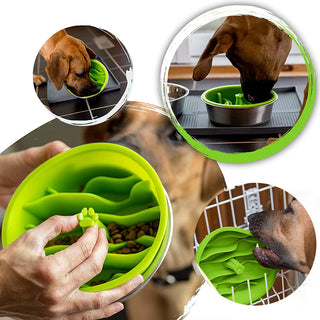 Slow Feed Dog Bowl