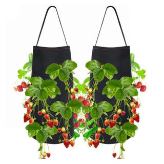 Hanging Strawberry Planting Bag