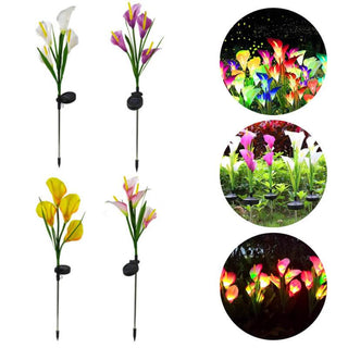 Multi-Color LED Solar Arum-lily Garden Lights