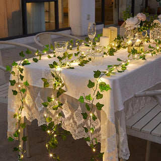 Solar Rattan String Lights