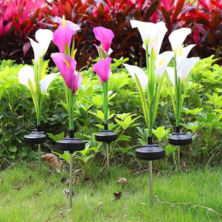 Multi-Color LED Solar Arum-lily Garden Lights