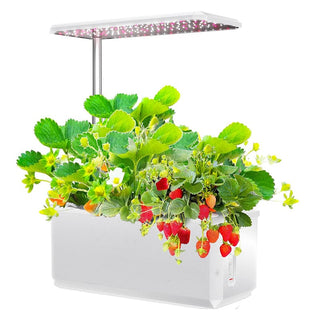 SAKER® Hydroponic Growing System